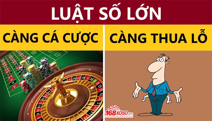 luật số lớn trong xổ số