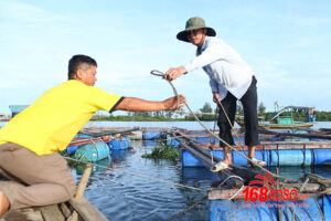 thầy giáo làng trúng 68 tờ vé số