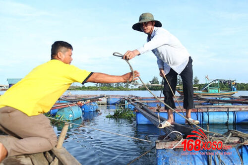 thầy giáo làng trúng 68 tờ vé số