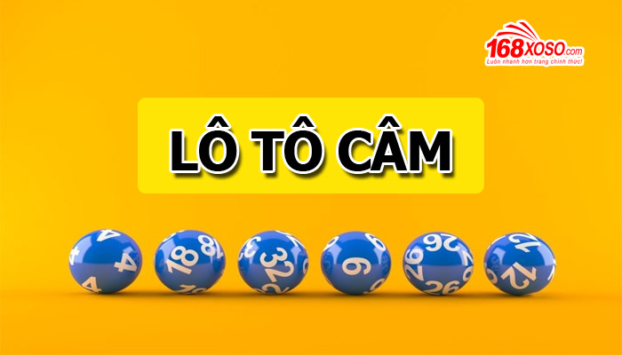 lô câm đầu đít